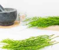 Kirkki̇li̇t Otu – Doğal Bitkisel Ürün | Geleneksel Aktar Kalitesi