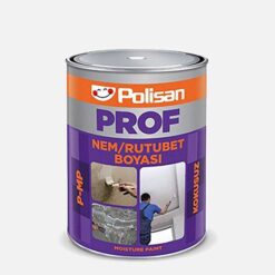 Polisan 2,5 KG Profesyonel Kokusuz Nem ve Rutubet Boyası
