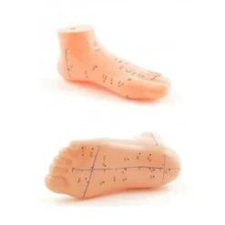 Nordmende AKUPUNKTUR AYAK MAKETİ 834 ***