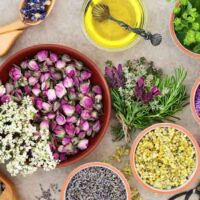 Aromaterapi & Doğal Yaşam