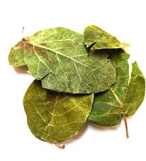 Ayva Yapraği – Doğal Bitkisel Ürün | Geleneksel Aktar Kalitesi