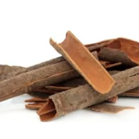 Barut Ağaci Kabuğu – Doğal Bitkisel Ürün | Geleneksel Aktar Kalitesi