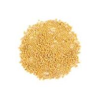 Hardal Tohumu Sari – Doğal Bitkisel Ürün | Geleneksel Aktar Kalitesi