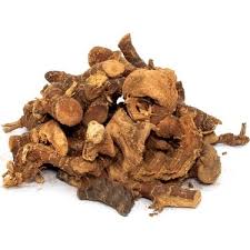 Havlican Kök – Doğal Bitkisel Ürün | Geleneksel Aktar Kalitesi