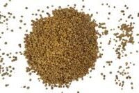 Ispanak Tohumu – Doğal Bitkisel Ürün | Geleneksel Aktar Kalitesi