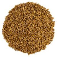 Süpürge Tohumu – Doğal Bitkisel Ürün | Geleneksel Aktar Kalitesi