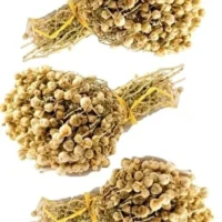 Üzerli̇k Otu Demet 10'Lu – Doğal Bitkisel Ürün | Geleneksel Aktar Kalitesi